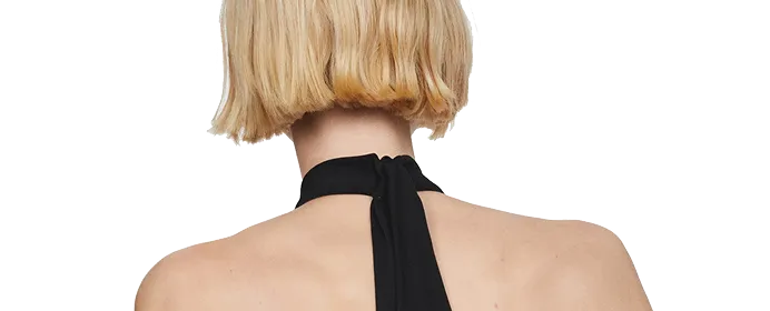 Header Model